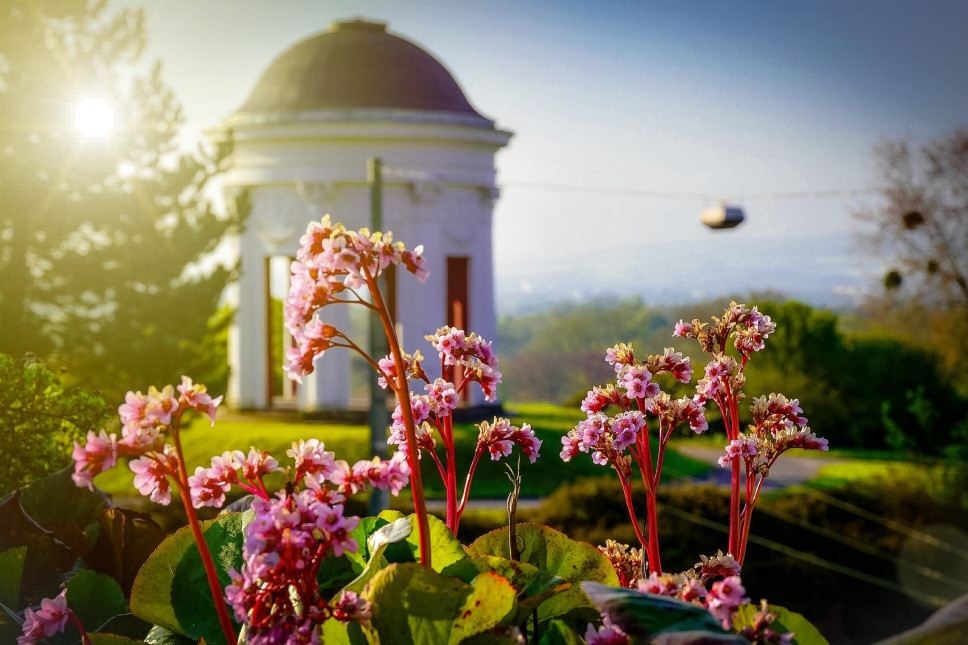 18778_Blick_zum_Fruehstueckstempel_1024