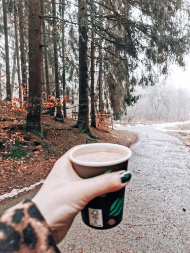 Almjause am Herbsthäuschen Kassel