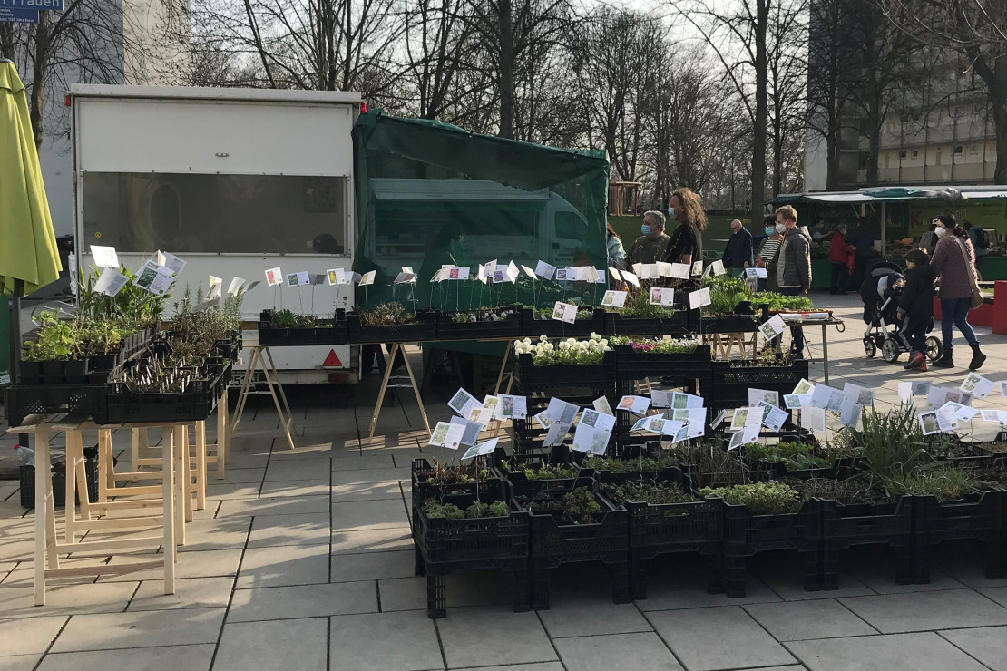 Anna-Markt im Quartier Vorderer Westen