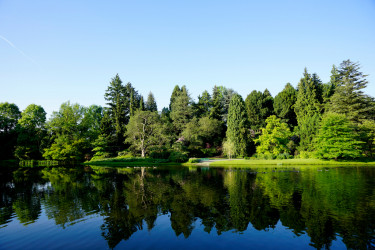 Blumeninsel Siebenbergen - Fotograf: Mario Zgoll