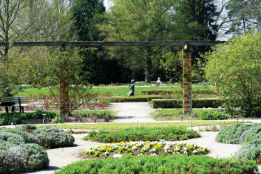 Botanischer Garten