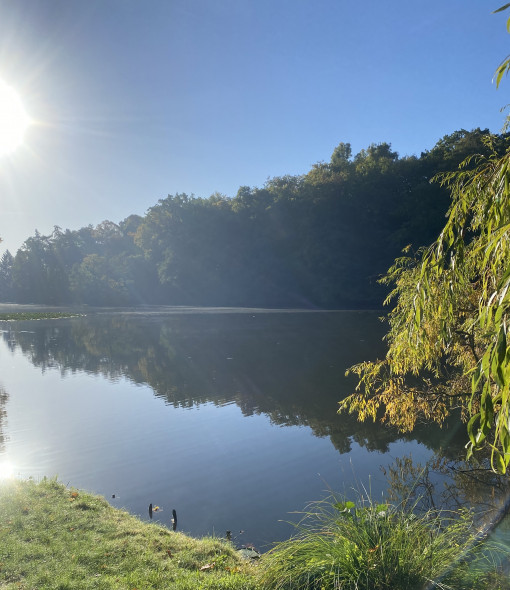 Der See Lac im Bergpark Kassel