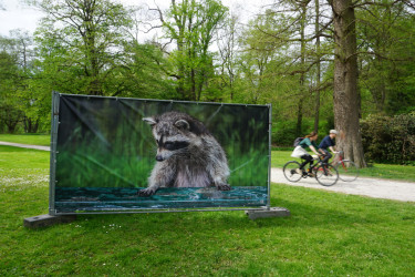 Fotoausstellung im Botanischen Garten