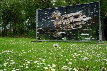 Fotoausstellung im Botanischen Garten