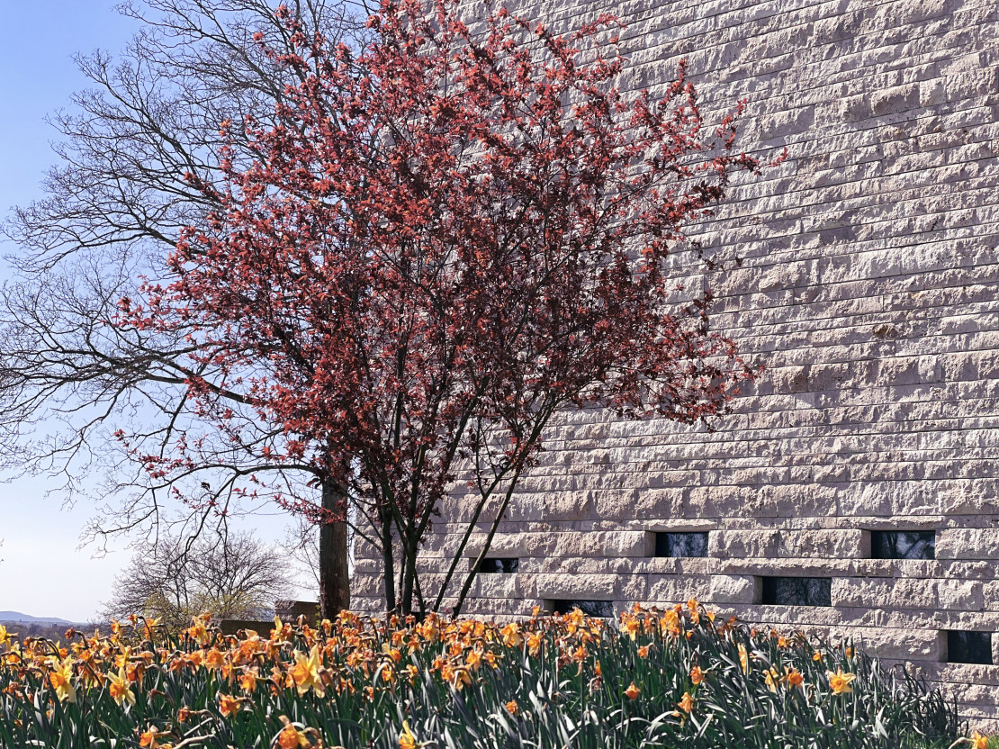 GRIMMWELT am Weinberg in Kassel