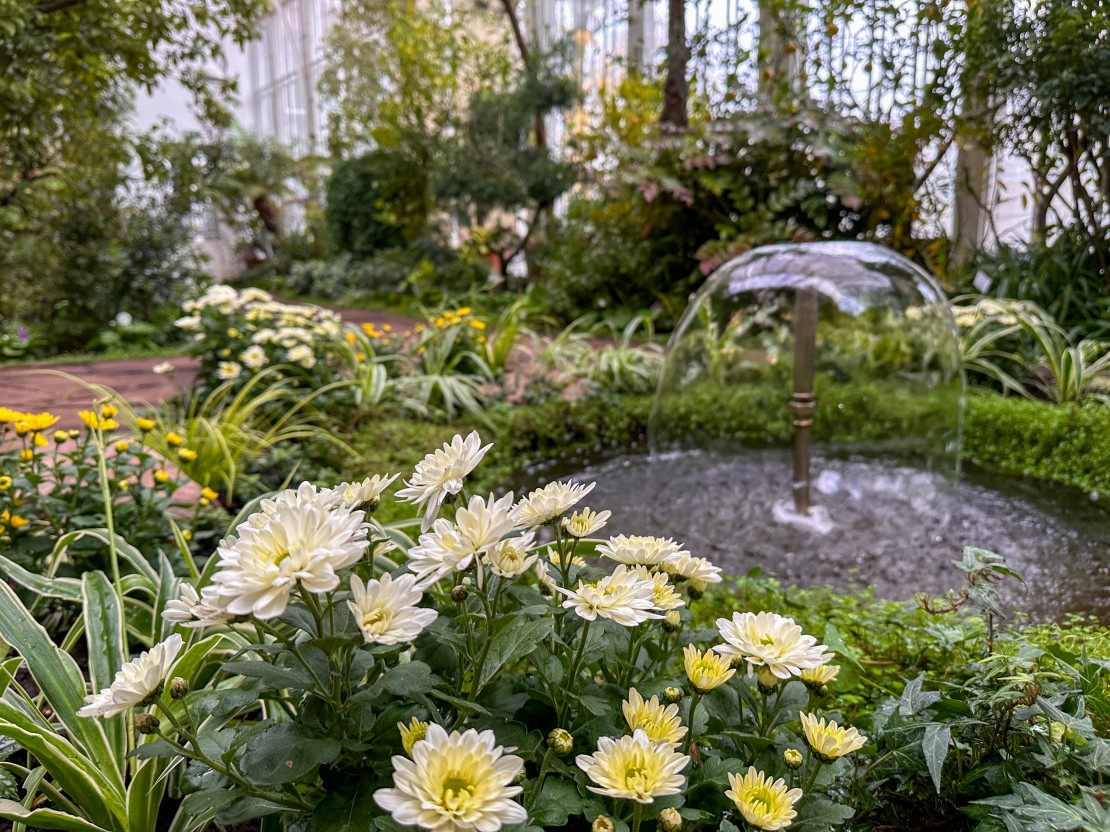 Großes Gewächshaus Bergpark Wilhelmshöhe