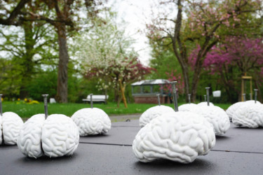 Kunstausstellung im Botanischen Garten