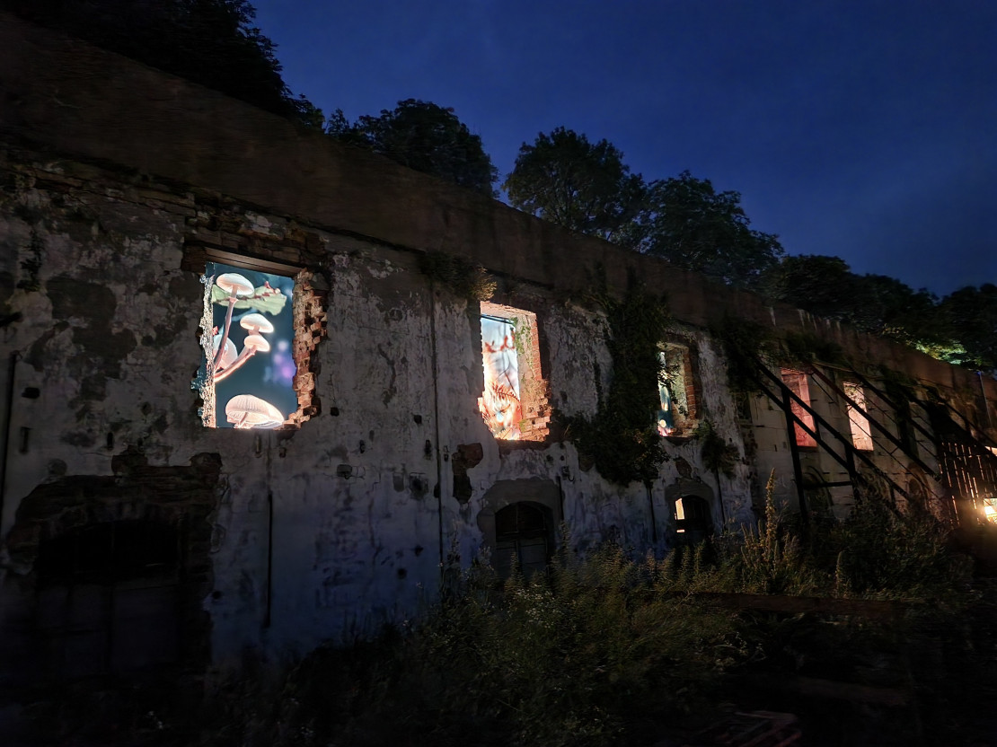 Lichtewege auf den Weinbergterrassen in Kassel