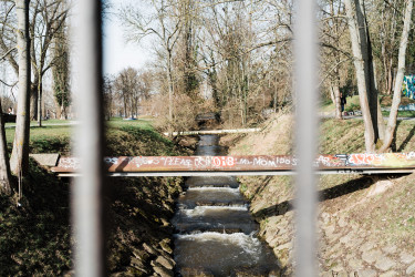 Nordstadtpark | Foto: Hier im Quartier Can Wagener