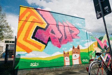 Public Art Gallery Kassel  © Can Wagener