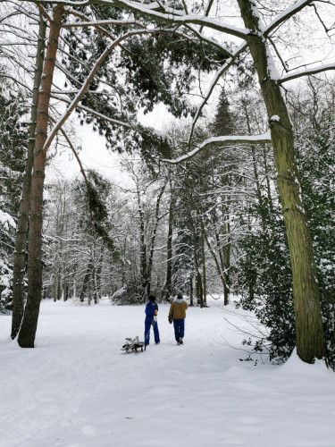 Schlitten fahren in Kassel