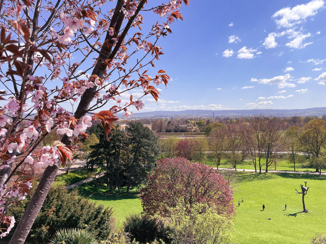 Schöne Aussicht mit Blick auf Penonebaum in Kassel