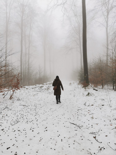 Spaziergang im Hohes Gras