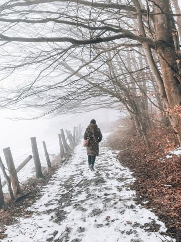 Unterhalb des Skihangs im Hohen Gras