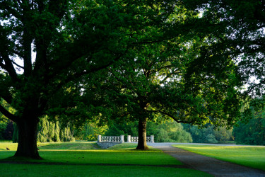 Wege in der Karlsaue - Fotograf: Mario Zgoll