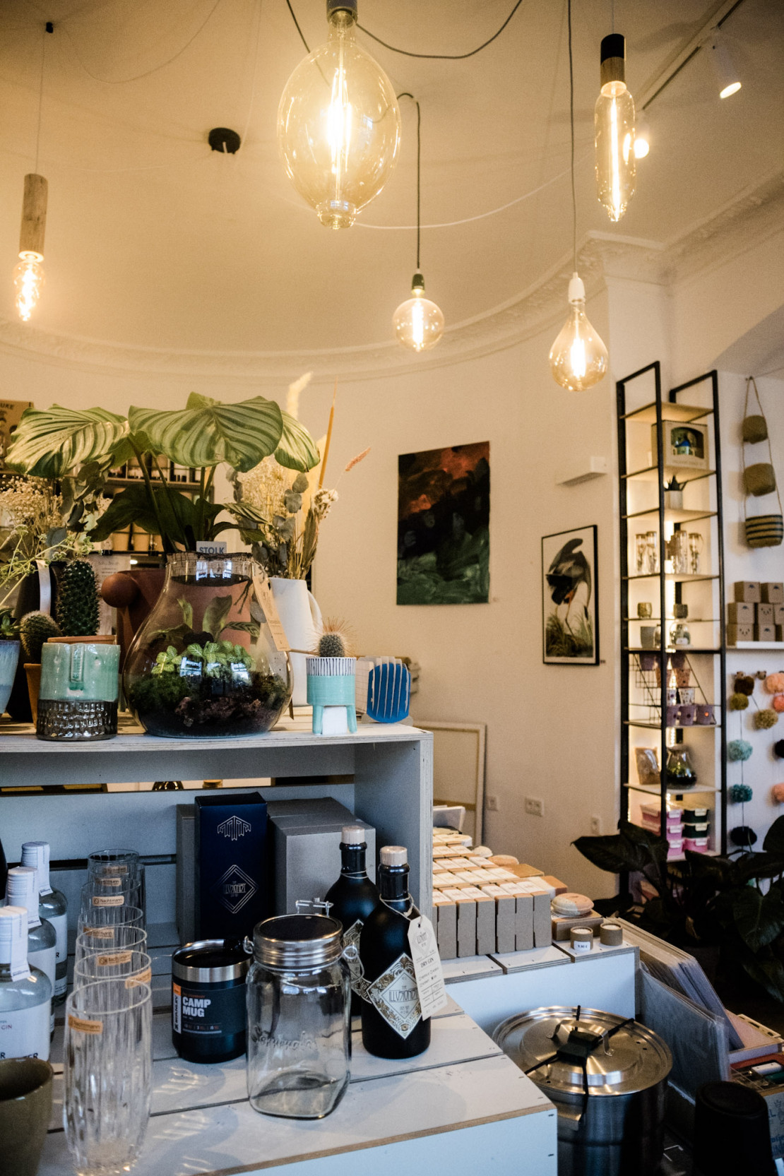 wildwood im Quartier Vorderer Westen in Kassel