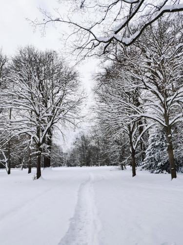 Winterlicher Staatspark Karlsaue