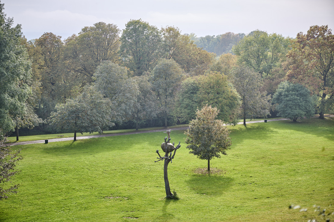 WowKassel_Penonebaum_Rahmenbau_Foto_Kassel_Marketing_Florian_Trykowski_2390303.jpg
